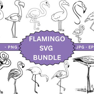 Flamingo Svg Bundle,Flamingo Cut File for cricut,Bird Svg,Flamingo Vector,Flamingo Outline,Flamingo Silhouette,Flamingo Logo,PNG