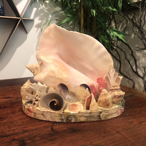 May include: A large pink seashell with a variety of smaller shells and coral arranged around it on a circular base. The base is decorated with a colorful, abstract design.