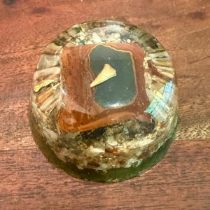 Pisapapeles acrílico antiguo prehistórico con diente de tiburón y piedra