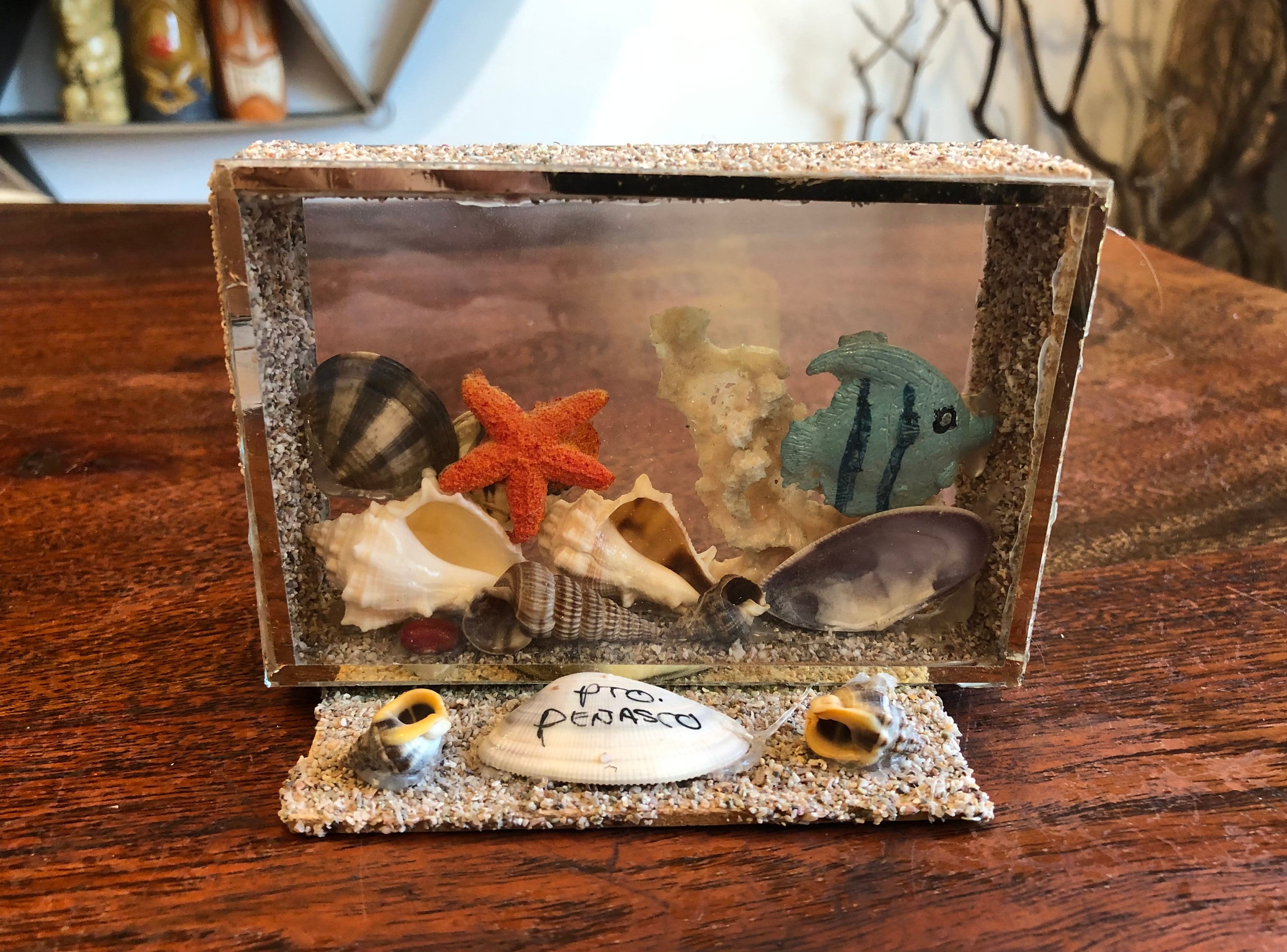Seashell Diorama 