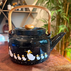 Può includere: Un bollitore per tè in smalto nero con un motivo a macchie bianche e una fila di illustrazioni di anatre bianche. Il bollitore presenta un manico in legno, un pomello del coperchio in legno abbinato e un beccuccio largo. Il design include un'anatra grande seguita da diversi anatroccoli in fila.