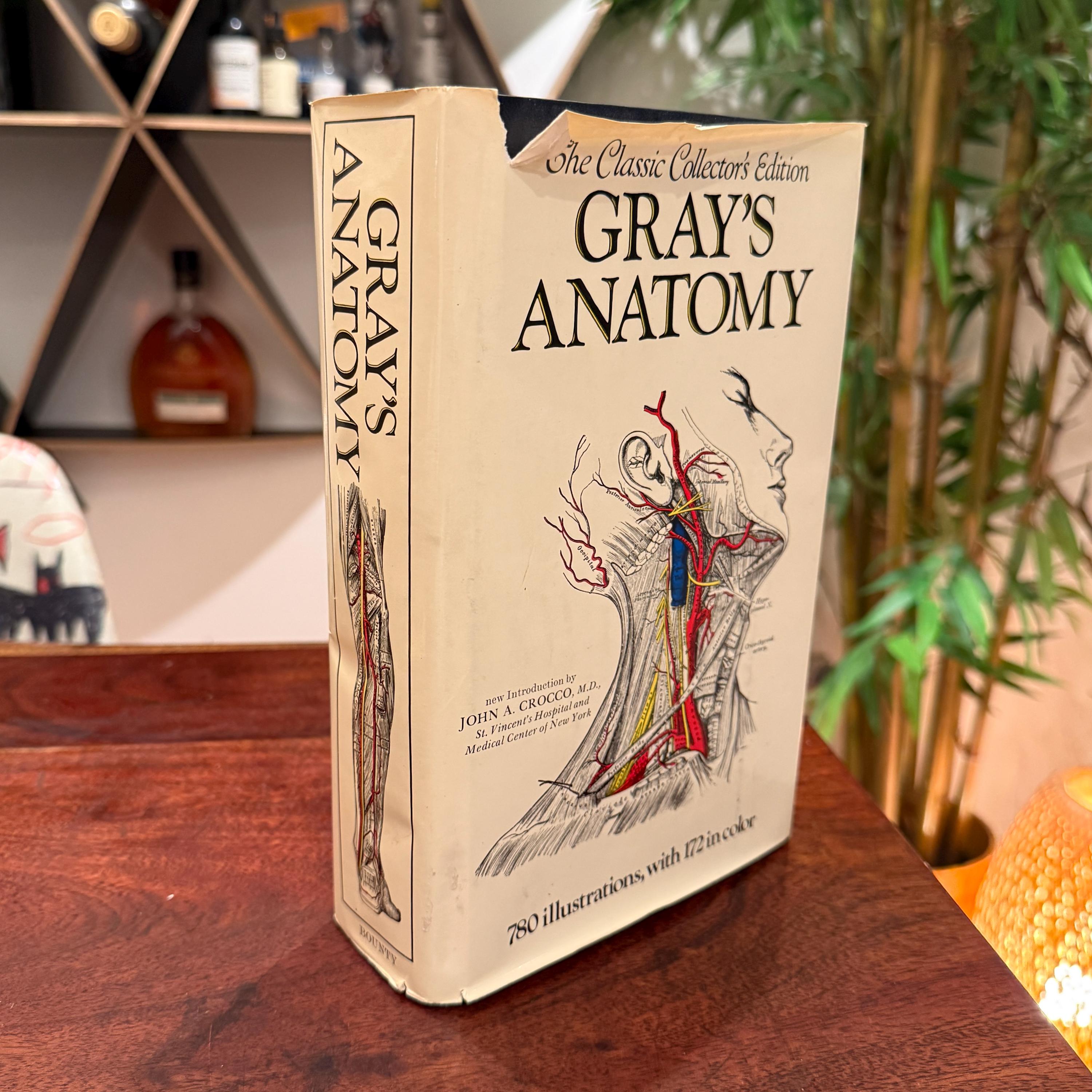 Grays Anatomy Book Vintage - Etsy