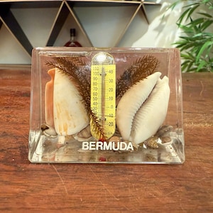 May include: A clear rectangular block containing a thermometer, seashells, and small stones. The thermometer reads in Fahrenheit, with the word "BERMUDA" at the bottom. The seashells are white and beige.