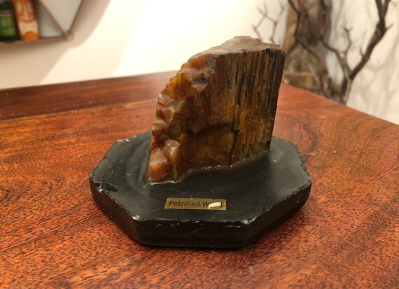 Rare Holbrook Az Signed Vintage Native American Navajo Petrified Wood Sterling Silver Bracelet Rare Holbrook Az Signed Vintage Native American Navajo Petrified Wood Sterling Silver Bracelet