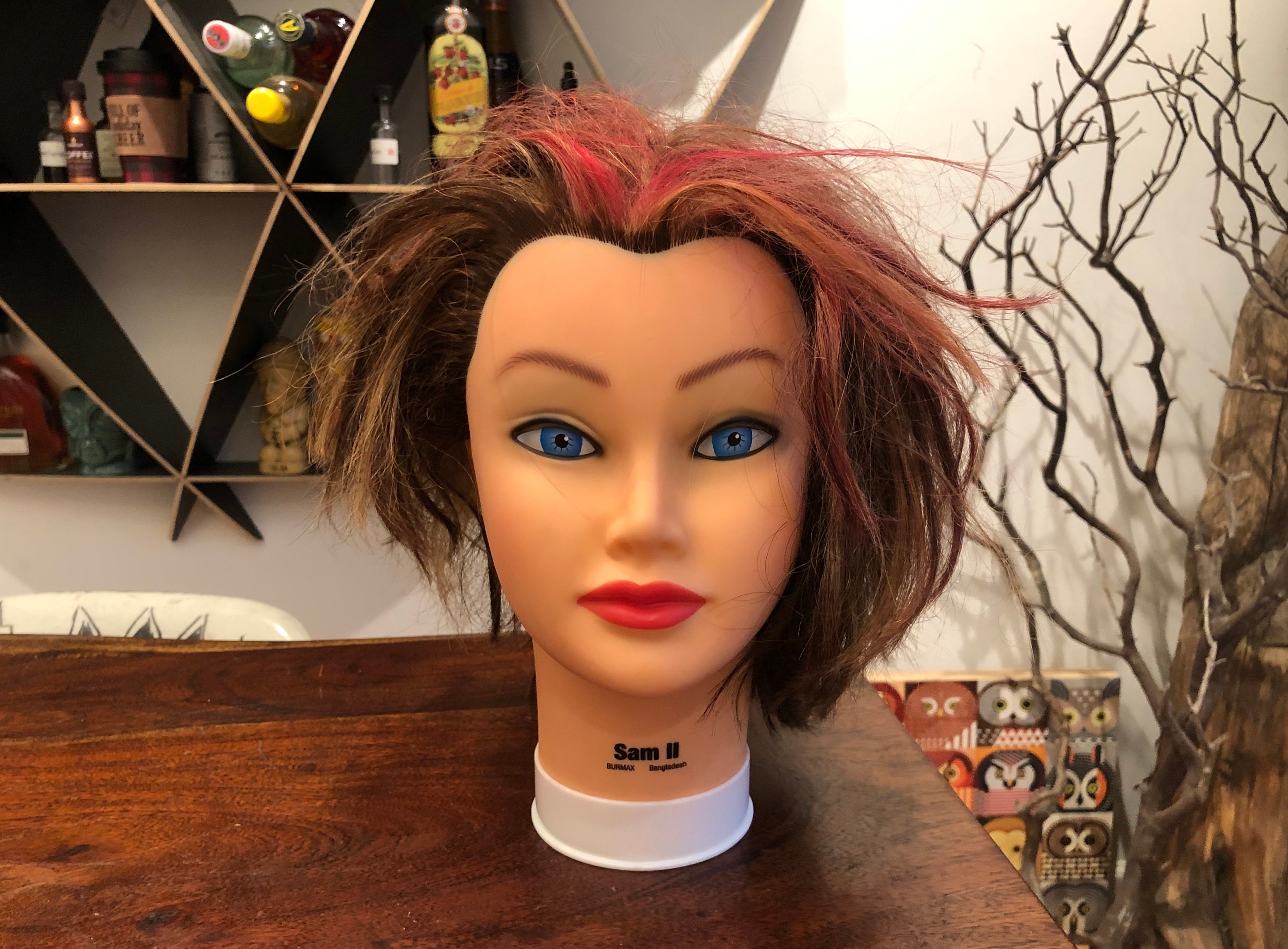 Vintage SAM II Life Size Woman Mannequin Head With Hair by BURMAX Made in  Bangladesh Hair School Practicing Head Hat Display Stand 