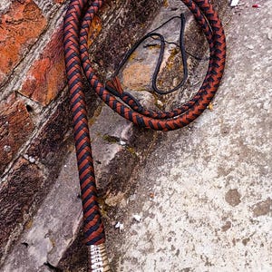 May include: A braided whip with a brown and black pattern. The whip is coiled and features a decorative silver-colored handle. The whip is made of woven material and has a long, slender design.