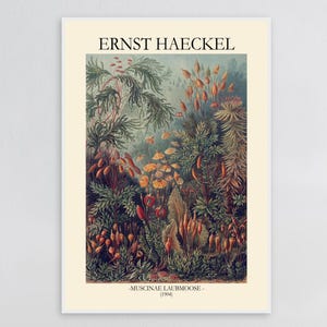Stampa di Ernst Haeckel sulla vita marina – Arte murale vintage sulla biologia marina, illustrazione scientifica dell'oceano (con o senza cornice)
