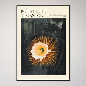 Fiore di cactus d'epoca, The Night Blowing Cereus – Robert John Thornton, stampa artistica, illustrazione floreale del 1800 (decorazione da parete con e senza cornice)