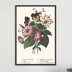 Pansy-Honeysuckle Botanical Print – 1858 Vintage Flower Illustration, Victorian Wall Art, Antique Floral Decor (Framed & Unframed Options)