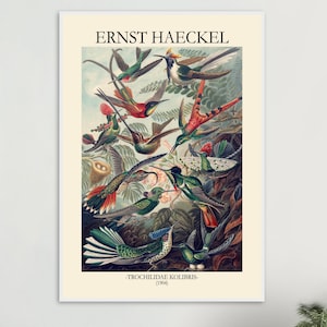 Ernst Haeckel 1904 Vintage Art Print, Antique Sea Creature Illustration, Marine Biology Wall Decor (Framed & Unframed Options)