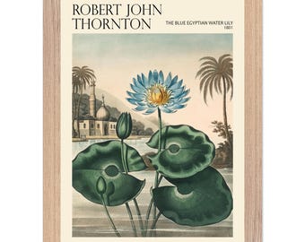 Blue Lotus Botanical Print, Robert John Thornton, Vintage Floral Wall Art