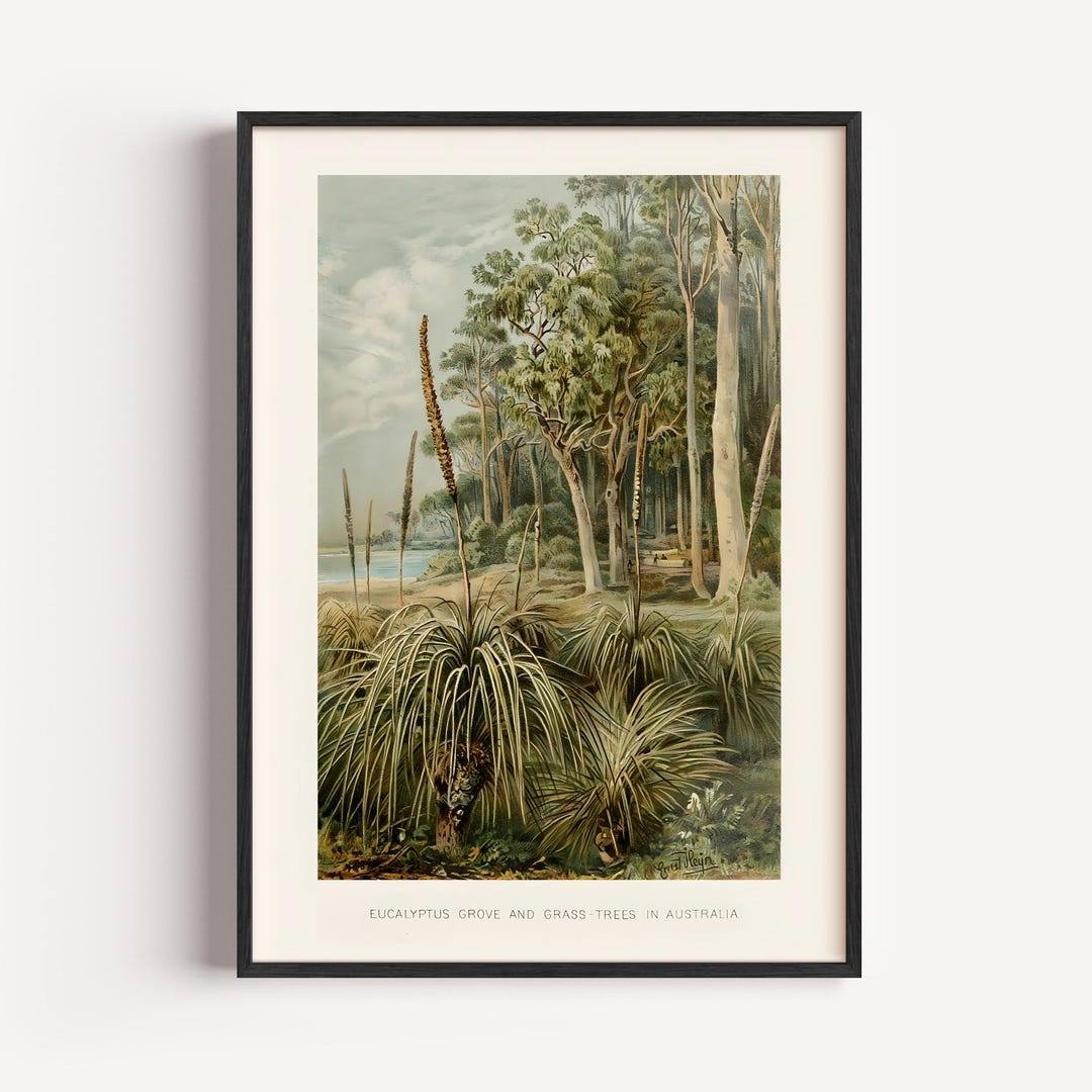 ユーカリの木立のアートプリント、ヴィンテージ植物風景画、自然 ユーカリの木立のアートプリント、ヴィンテージ植物風景画、自然