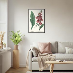 Lámina botánica de dedalera: ilustración floral vintage de 1858, arte vegetal antiguo, decoración mural victoriana con motivos naturales (con y sin marco)