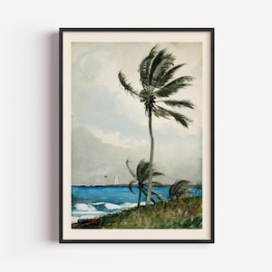 Palm Tree, Nassau – Winslow Homer 1898 Art Print, Vintage Tropical Landscape, Coastal Wall Art (Framed & Unframed Options)