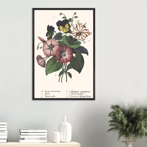 Lámina botánica de madreselva y pensamiento – Ilustración floral vintage de 1858, arte mural victoriano, decoración floral antigua (con y sin marco)