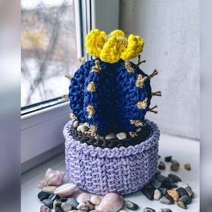 May include: A handmade crochet cactus in a lavender pot. The cactus is a deep blue with yellow flowers on top and tan spines. The pot is filled with small stones and sits on a windowsill with seashells and pebbles.