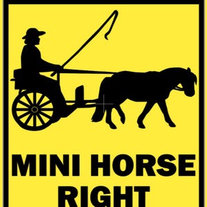 Achtung Mini Pferd Vorfahrt Sicherheitsschild