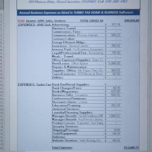 BLUE Self Employed Turbo Tax 1040 Schedule C Annual Expenses