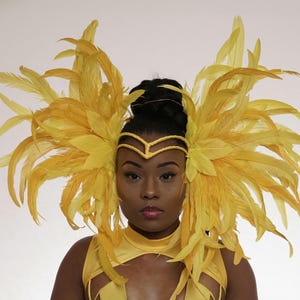 Festival, Samba, Carnival Double Face Framed Tiara Headpiece  Bare Wire Frame