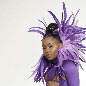 Festival, samba, carnaval Basic Ear Cuff Tiara avec plumes