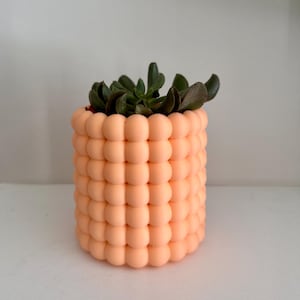 3D Printed Bubble Planter: Modern Home Decor with Drip Tray