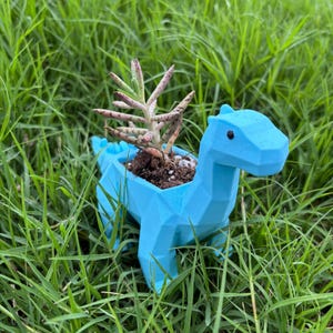Dinosaur Planter Set: Small Succulent Planter, Desk Decor