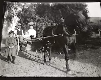 Ghost Horse Pulling Family - Darkroom Print from Original 6.5" x 8.5" Glass Plate Negative