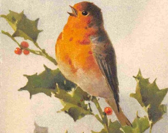 Red Robin Bird 1950s linen postcard