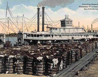 Beautiful Antique Linen Postcard of a Barge Load of Cotton on River Front in New Orleans Louisiana