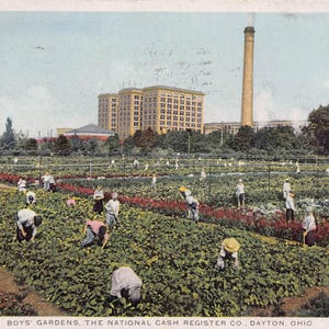 Cartão postal da Boys Gardens National Cash Register Co Plant NCR Dayton Ohio 1915