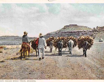 Hopi Native American Indian Wood Train Burros Arizona 1910s Fred Harvey postcard