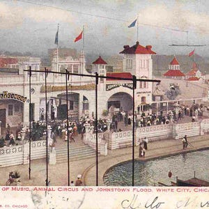 Tempio della musica Animal Circus White City Amusement Park Chicago Illinois 1906 cartolina