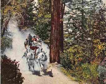 Stage Coach Team Yosemite Valley National Park California 1910s postcard