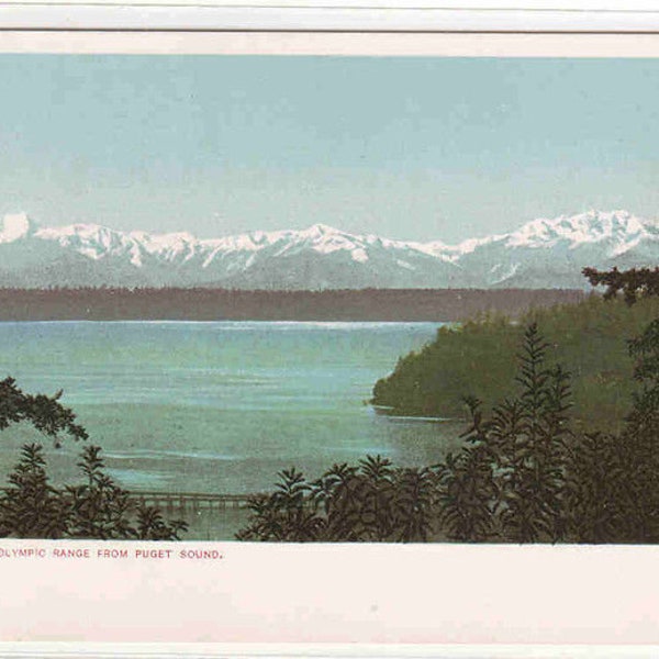 Olympic Mountain Range Puget Sound Washington 1905c postcard