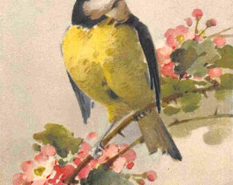 Blue Tit Bird 1950s linen postcard