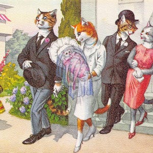 Postal del bautizo de los gatos vestidos, iglesia de Maguncia 4939
