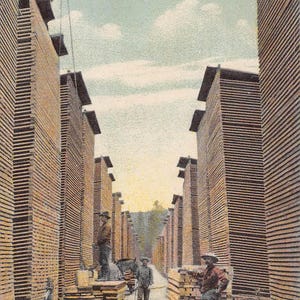 Washington Lumber Saw Mill traitées pour l'expédition Carte postale 1910c