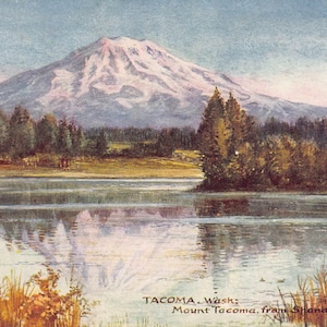 Le mont Tacoma de Spanaway Lake Tacoma Washington 1910 Carte postale Tuck
