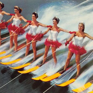 Aqua Maid Line Up Wasserski Cypress Gardens Florida Postkarte