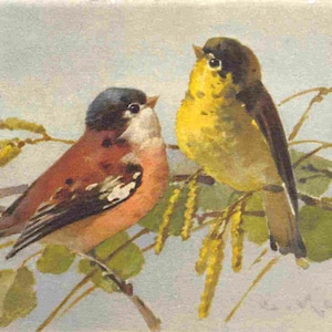 Robin Bird Par Masculino Feminino Cartão postal de linho dos anos 1950