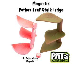 Magnetic Pothos Ledge  - Plant Tank Decor - Frog Shelf - Gecko Enclosure Accessories - lizard Enrichment