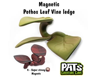 Magnetic Pothos Vine Gecko Ledge - Reptile Tank Ledge - Jungle Tank Decor - Cute Reptile Tank - Gecko Enclosure Accessories