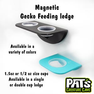 Magnetic Reptile Feeding Ledge - Gecko Feeding Ledge - Reptile Tank Food Ledge - Cute Reptile Tank Decor -Gecko accessories - Gecko Supplies