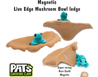 Magnetic Mushroom Bowl Ledge: Live Edge, Crested Gecko, Reptile & Frog Tank Decor