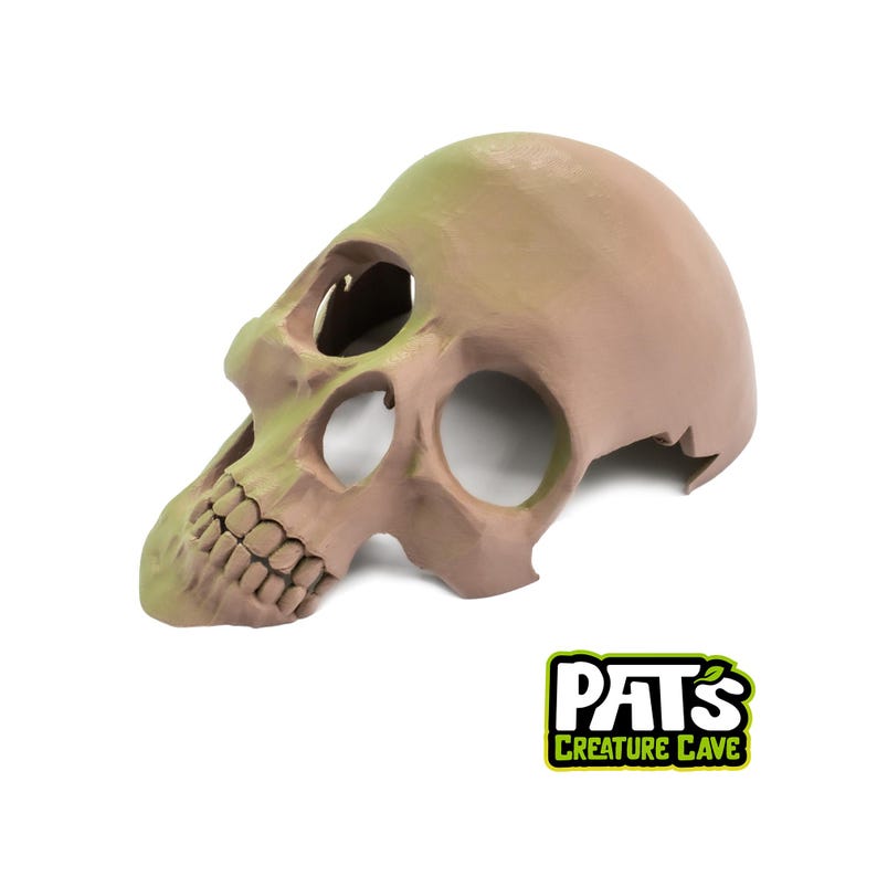 K&ouml;nnte beinhalten: Eine hellbraune Totenkopfmaske mit gr&uuml;nen Akzenten, die gro&szlig;e Augenh&ouml;hlen und einen detaillierten Kiefer aufweist. Die Maske hat ein verwittertes Aussehen und besteht wahrscheinlich aus einem haltbaren Material. Das Logo "PAT'S CREATURE CAVE" ist sichtbar.