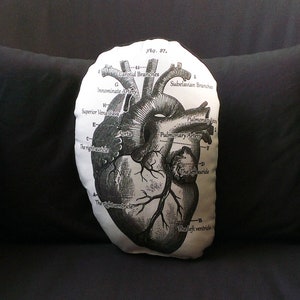 Anatomical Heart Pillow medical school gift for surgeon rn gift homeschool gift halloween human anatomy medical themed gift nurse goth