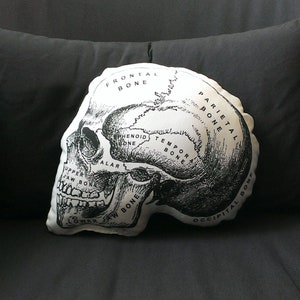 Skull Pillow anatomical skull medical student gift nurse practitioner medical school gift nurse graduation doctor gift halloween goth image 1