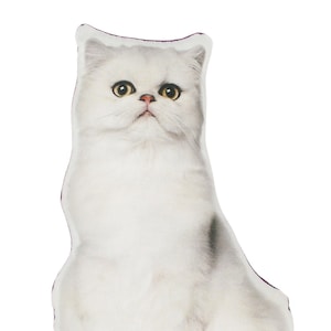 White Cat Pillow Persian cat lover gift cat cushion gifts for cat lovers stuffed animal crazy cat lady cat owner gifts cat plush