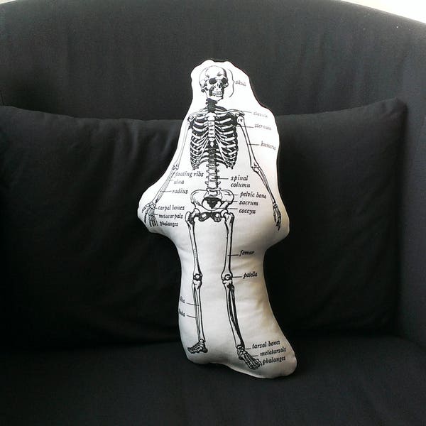 Skeleton Pillow, anatomical skeleton, Halloween pillow, surgeon gift, orthopedic, nurse appreciation, nursing student, anatomy, nurse gift