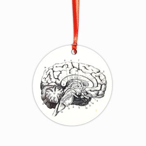 Brain Christmas Ornament, Psychology Ornament, Mental Health, Therapist Gift, Anatomy, Nurse, Goth, School Psychologist, Neuroscience